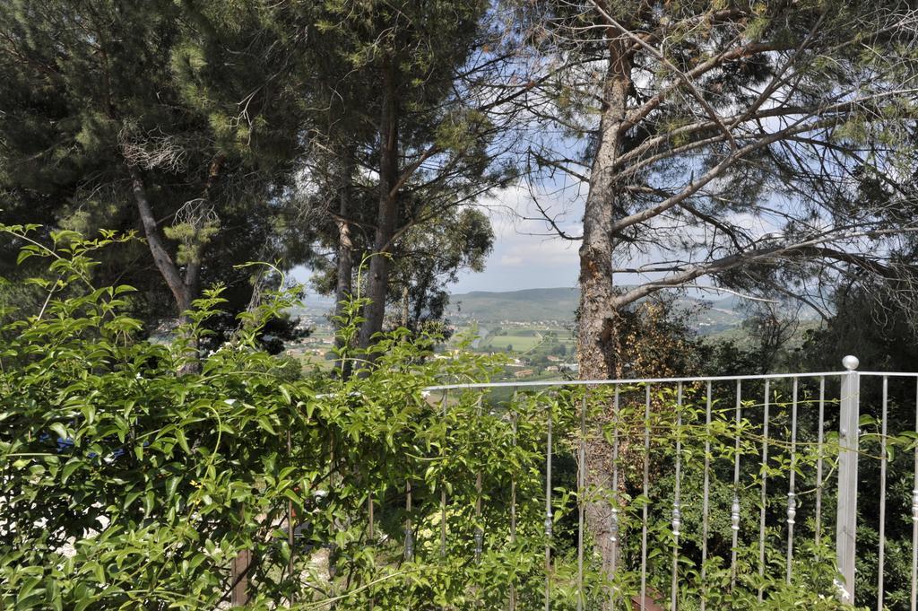Agriturismo La Grotta San Giuliano Terme Eksteriør billede