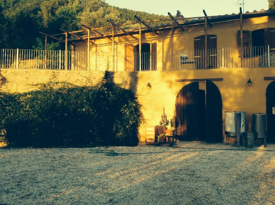 Agriturismo La Grotta San Giuliano Terme Eksteriør billede