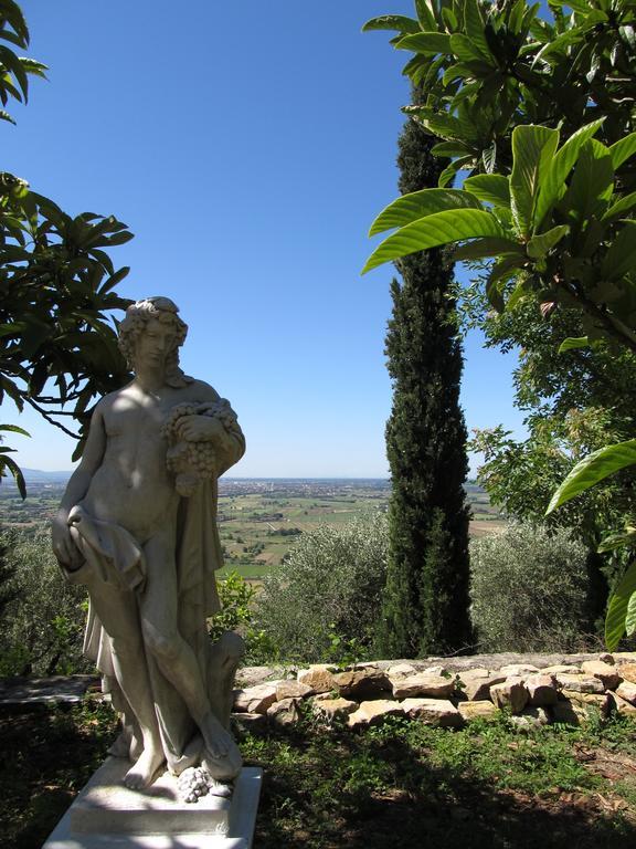Agriturismo La Grotta San Giuliano Terme Eksteriør billede
