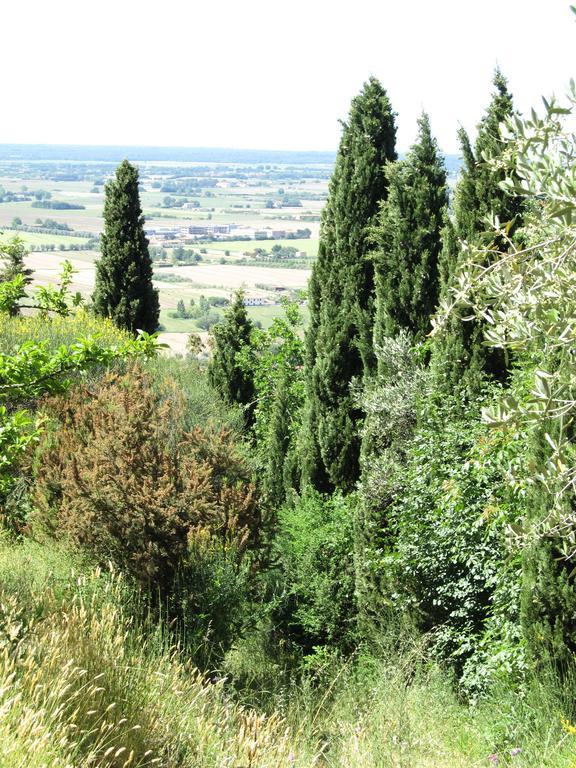 Agriturismo La Grotta San Giuliano Terme Eksteriør billede