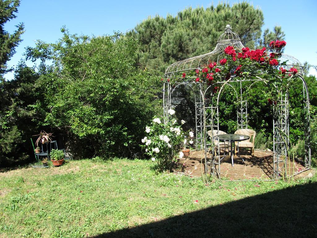 Agriturismo La Grotta San Giuliano Terme Eksteriør billede